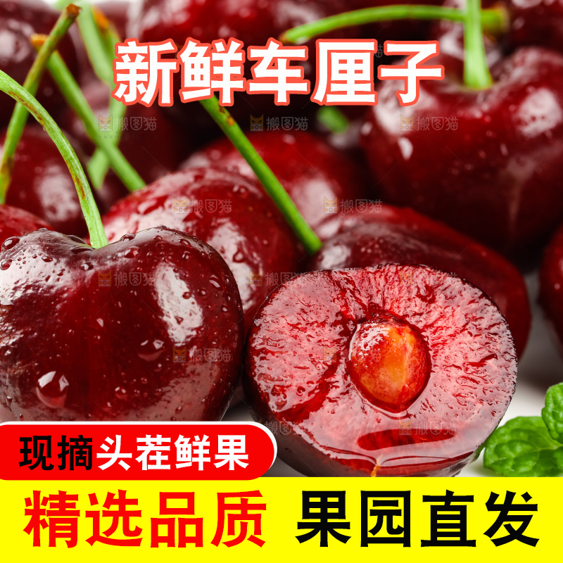 白底上的智利进口车厘子