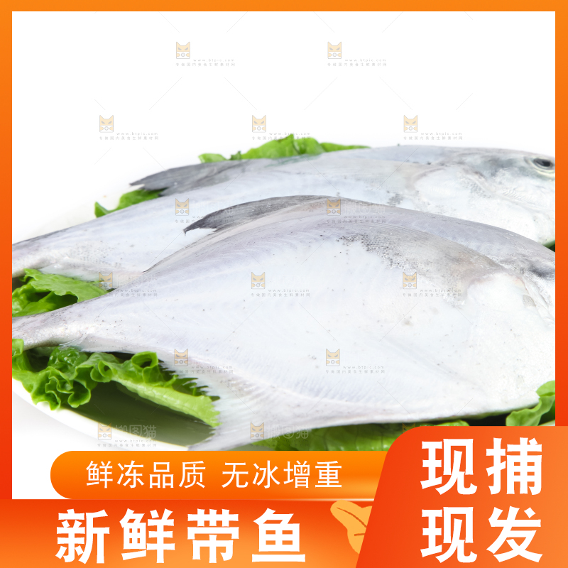 白底上放着带鱼