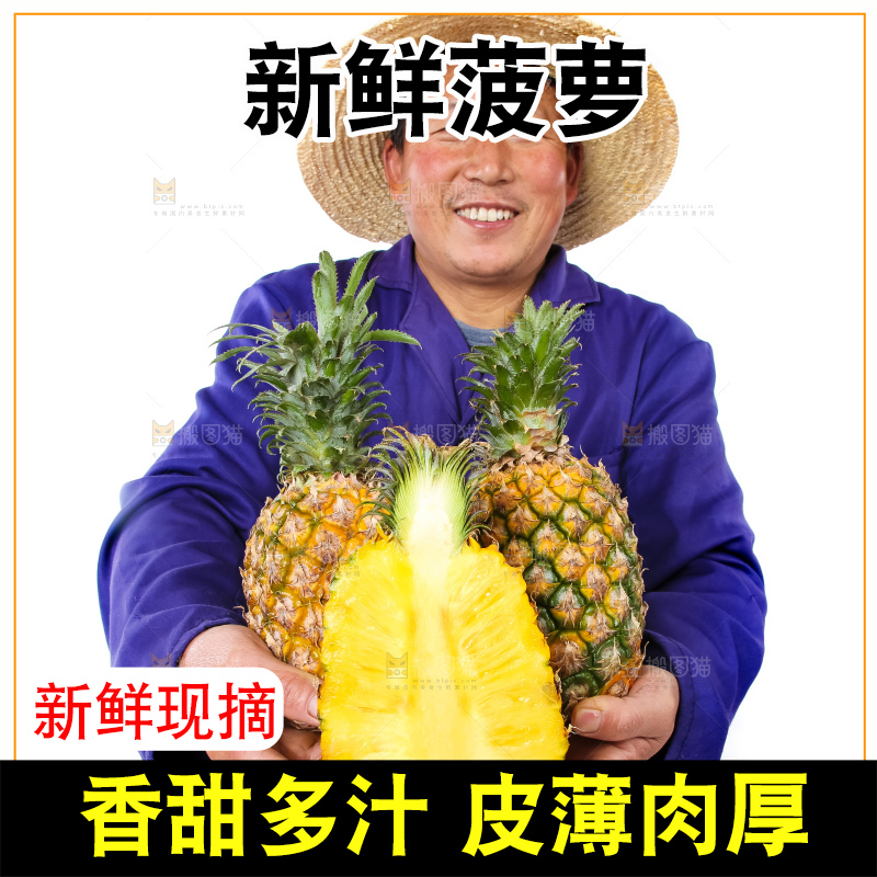 农民手里拿着香水菠萝