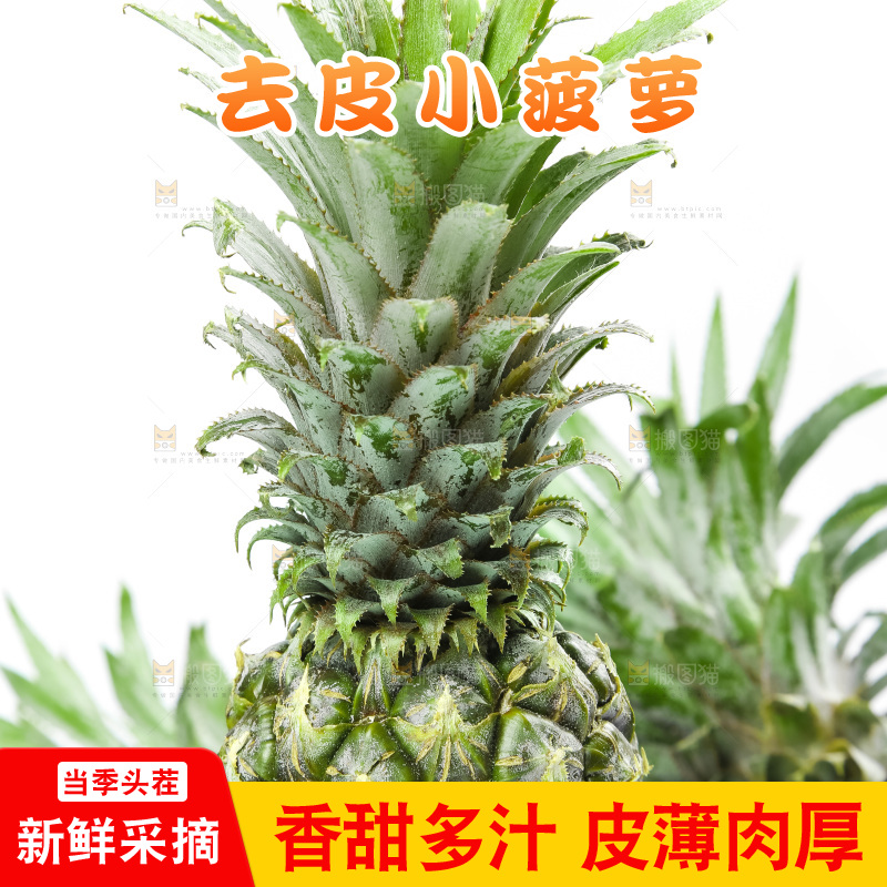 白底上放着泰国小菠萝