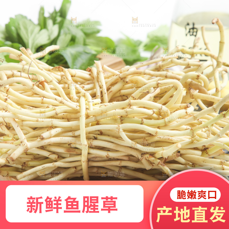石板上放着折耳根