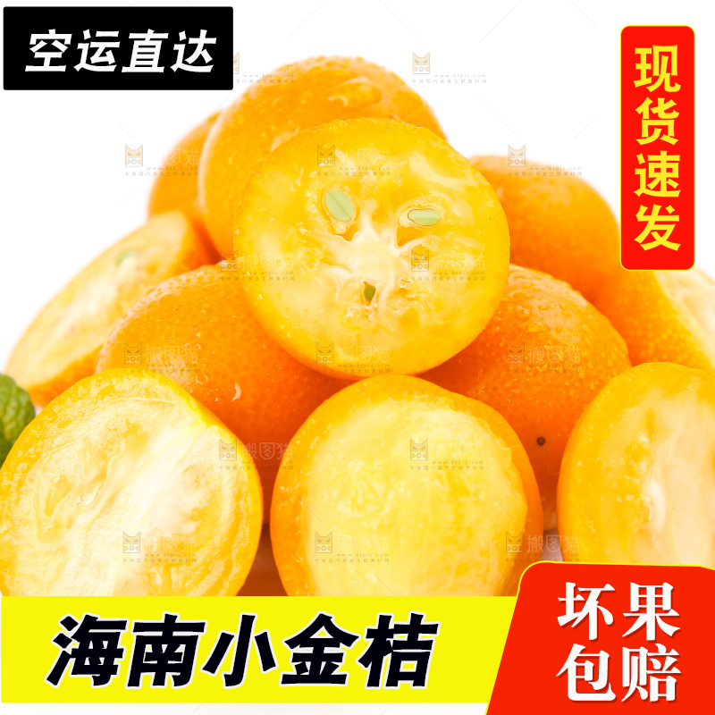 白底上的融安小金桔