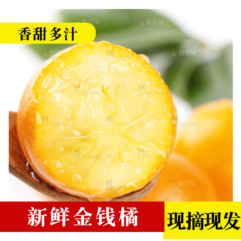 白底上的金桔