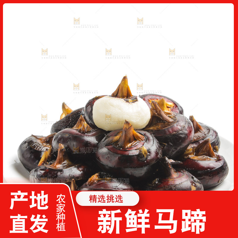 白底上摆放着广西荔浦马蹄