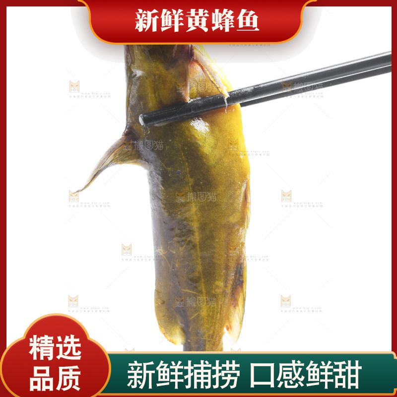 白底上放着黄蜂鱼