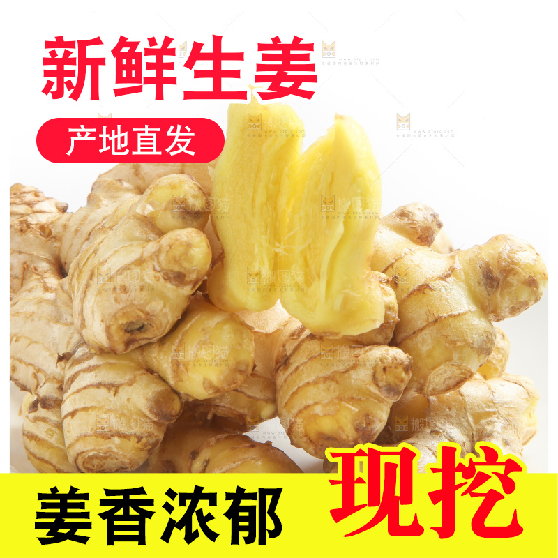 白底上的小黄姜