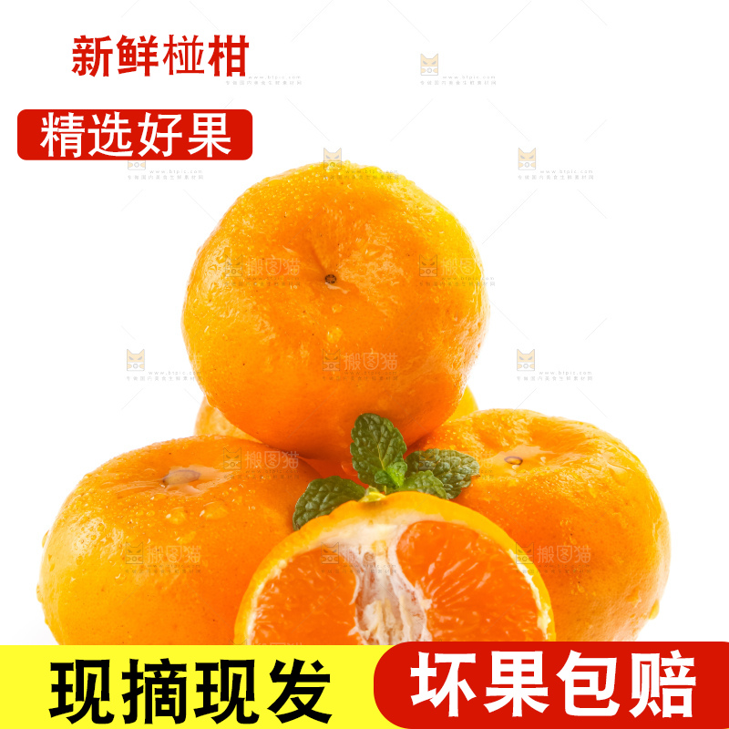 白底上摆放着椪柑橘