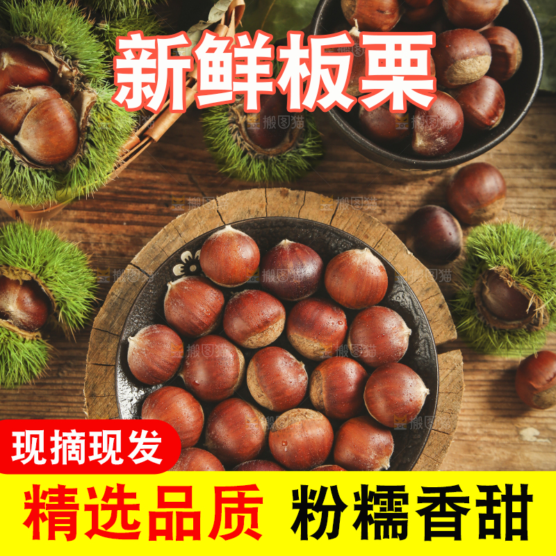 木底上放着迁西板栗