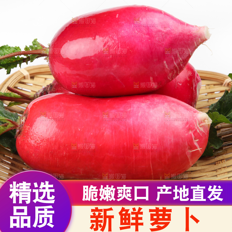 白底上的红萝卜