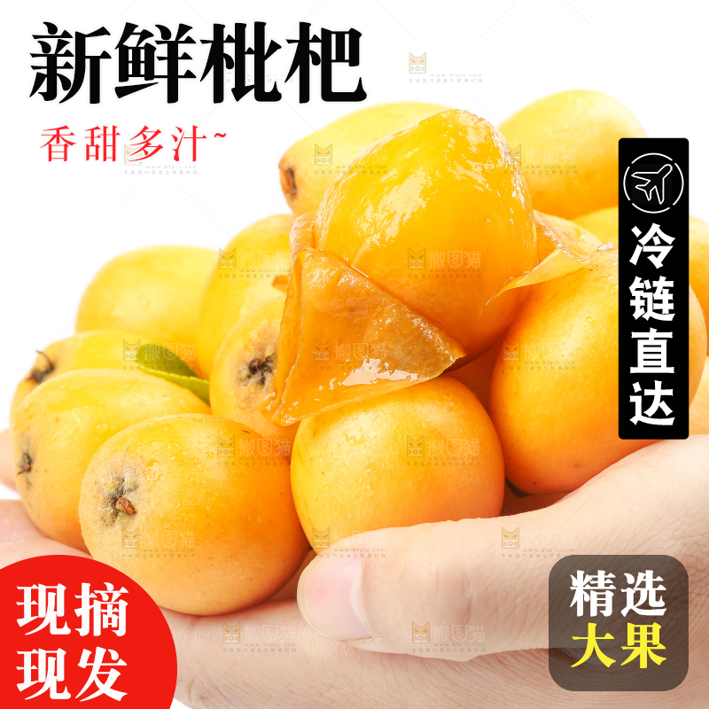 手里捧着云南蒙自枇杷