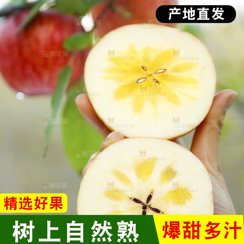 手里拿着新疆冰糖心苹果