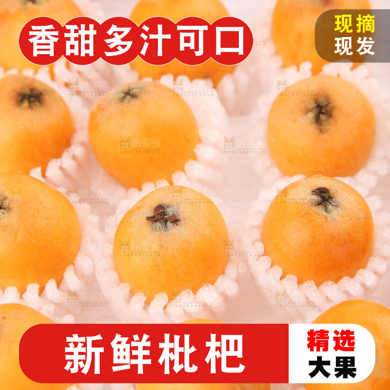 泡沫箱里装着米易枇杷