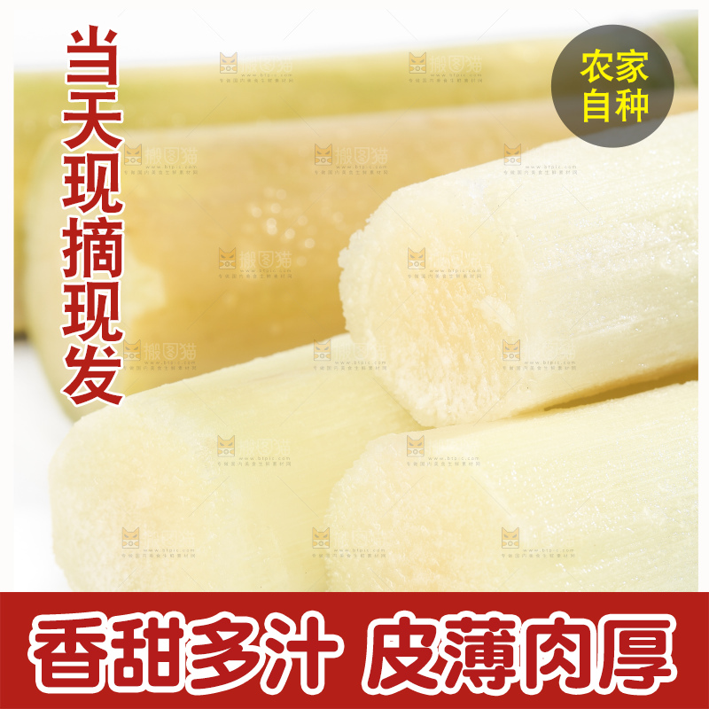白底上摆放着木格白玉甘蔗