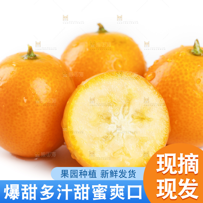 白底上的金桔