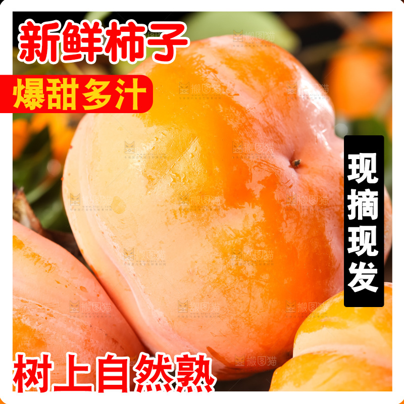 木板上的磨盘柿