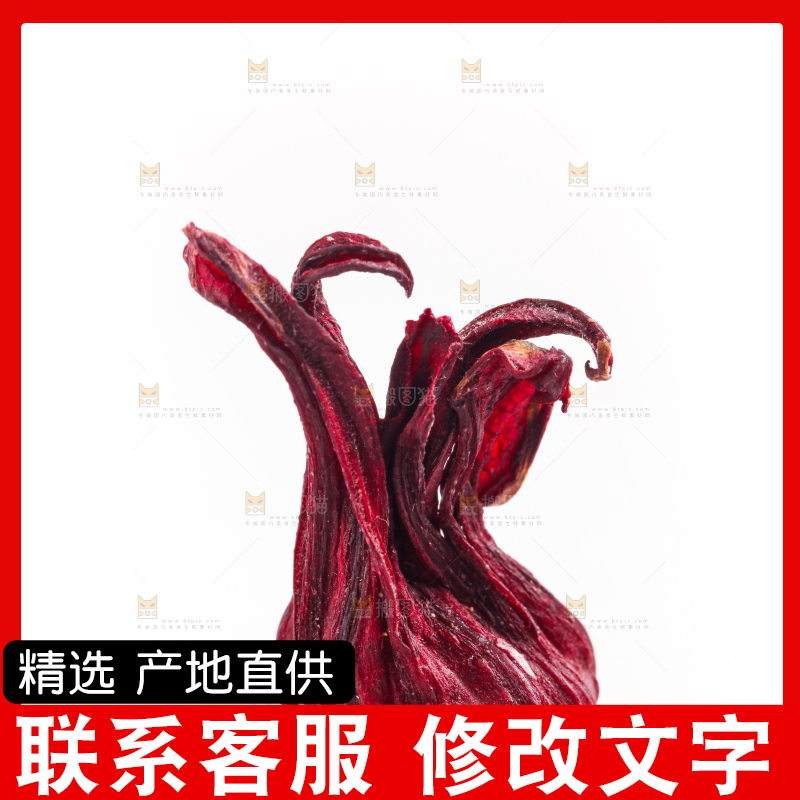 白底上的玫瑰茄