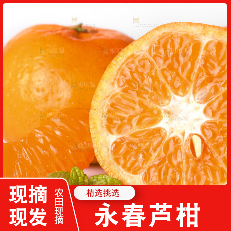 白底上的芦柑