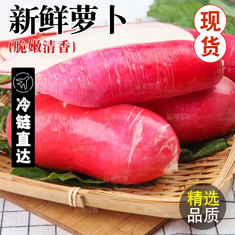 格子底上的红萝卜