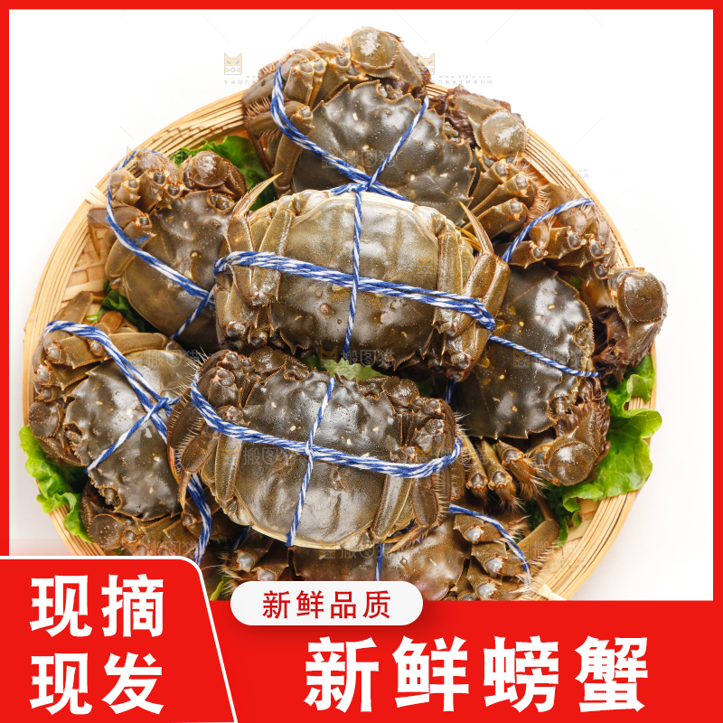 篮子里装着鲜活螃蟹