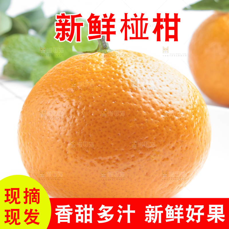 盘子里装着柑橘