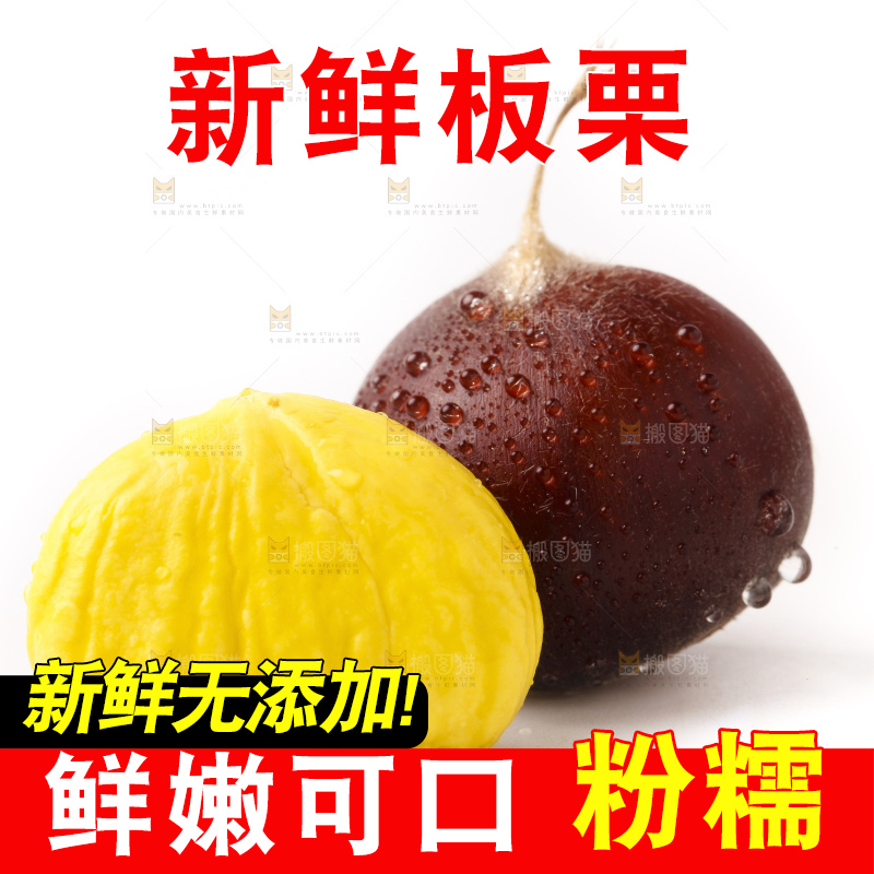 浅底上的迁西板栗