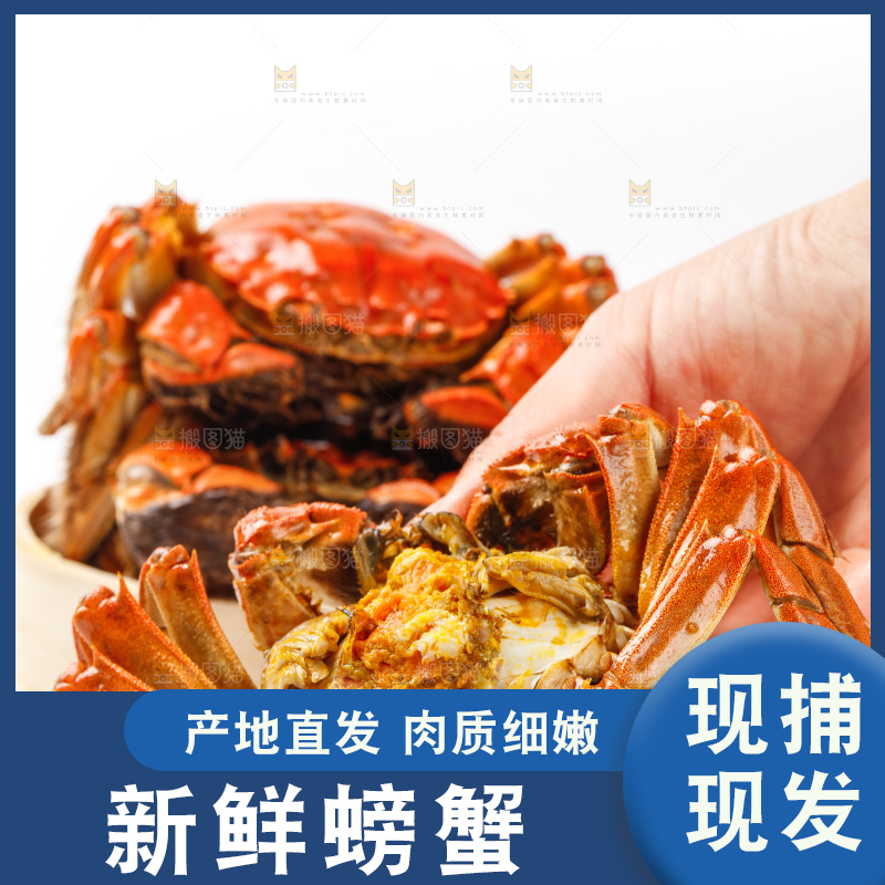 蒸笼里装着熟螃蟹