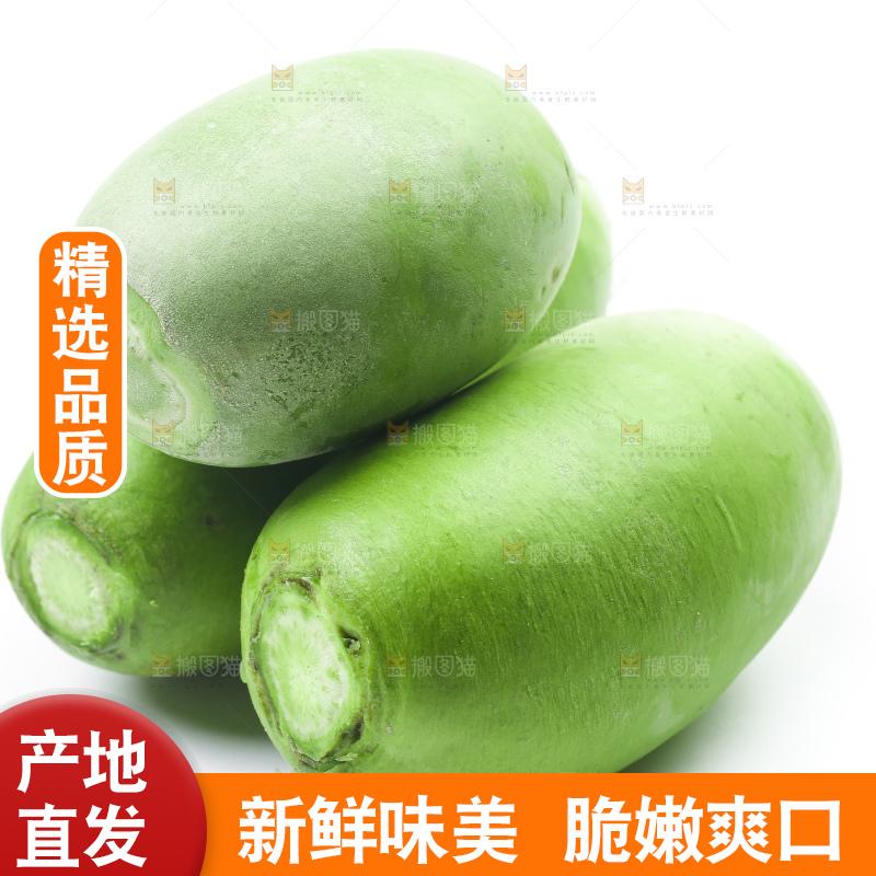 白底上放着青萝卜