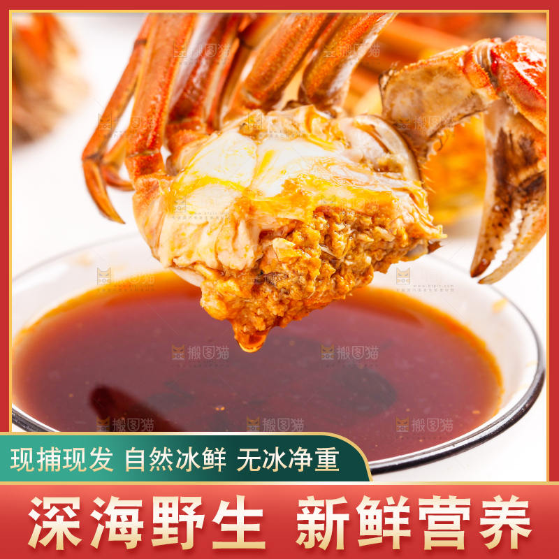 正在蘸醋汁的螃蟹