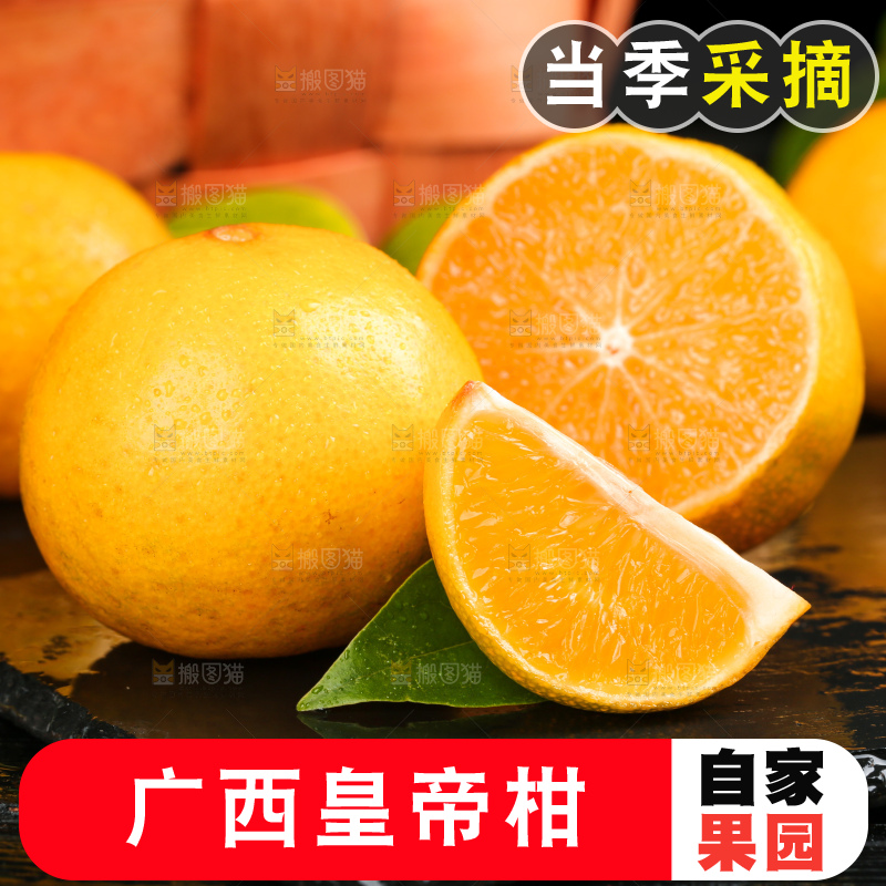 黑底上切开的武鸣皇帝柑