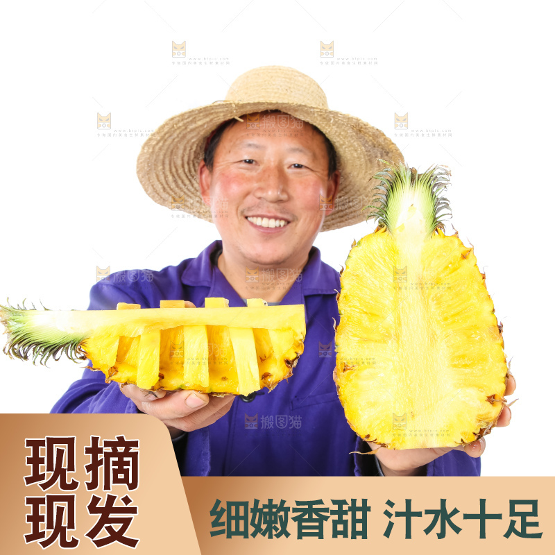 农民手里拿着香水菠萝