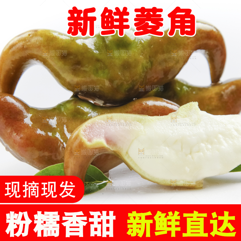 白底上的新鲜菱角