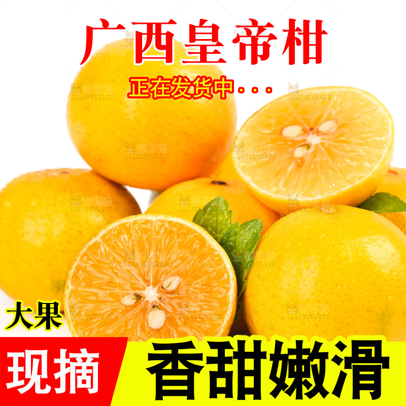白底上放着一堆新鲜皇帝柑