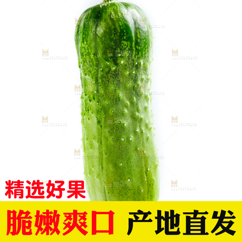 白底上的小黄瓜