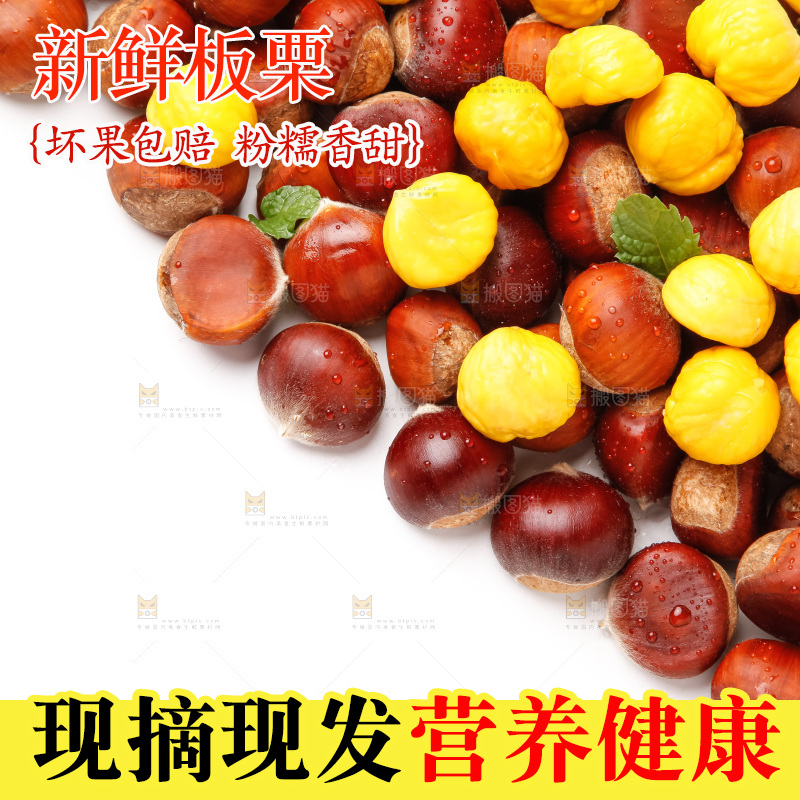 白底上的新鲜栗子