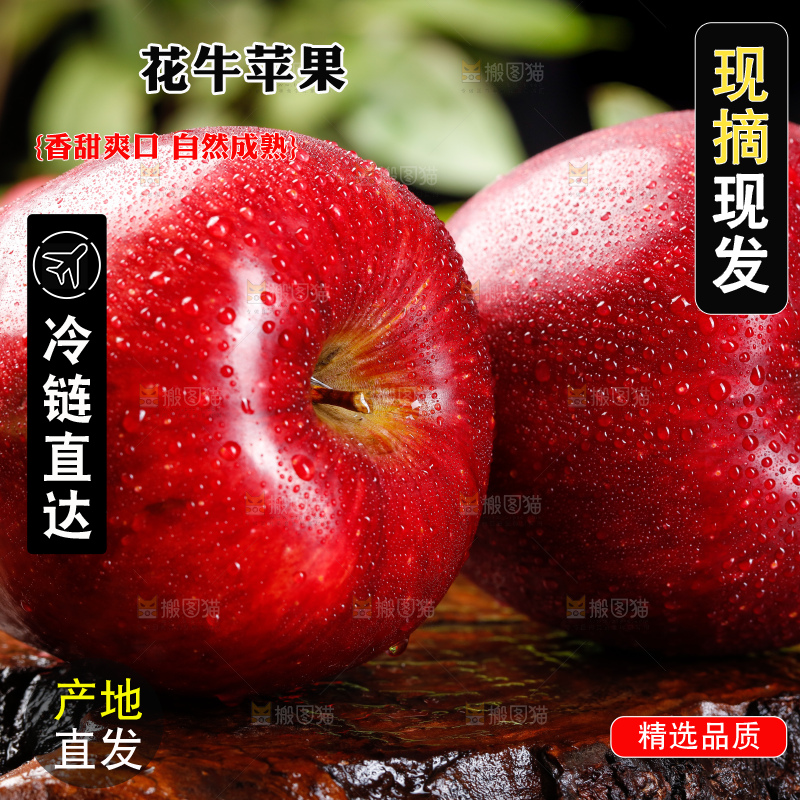 深底上放着甘肃花牛苹果
