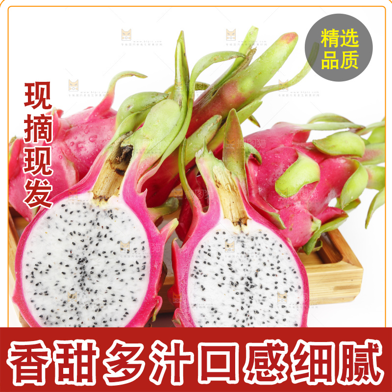 白底上的越南白心火龙果