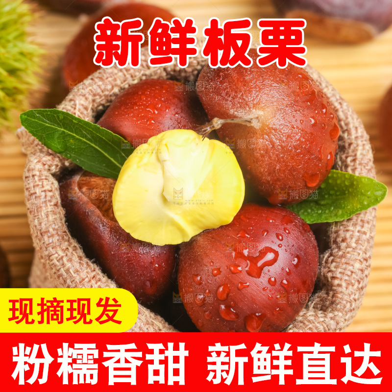 深底上的迁西板栗