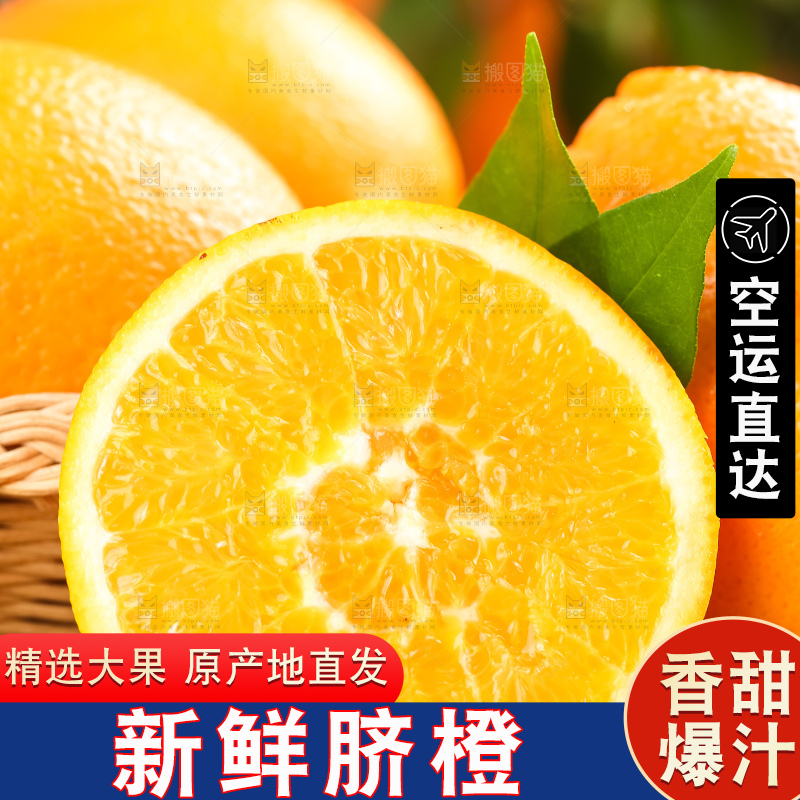 篮子里装着长虹脐橙
