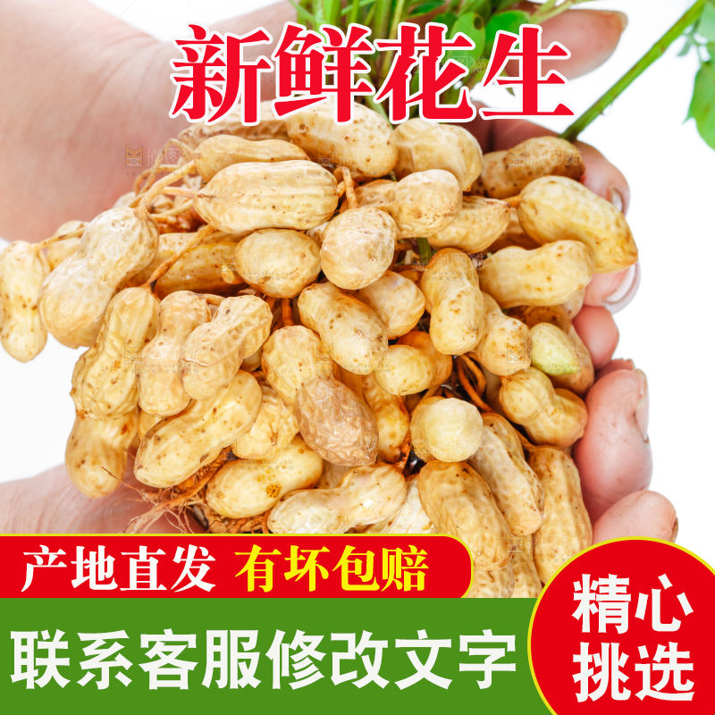 手上捧着湿花生