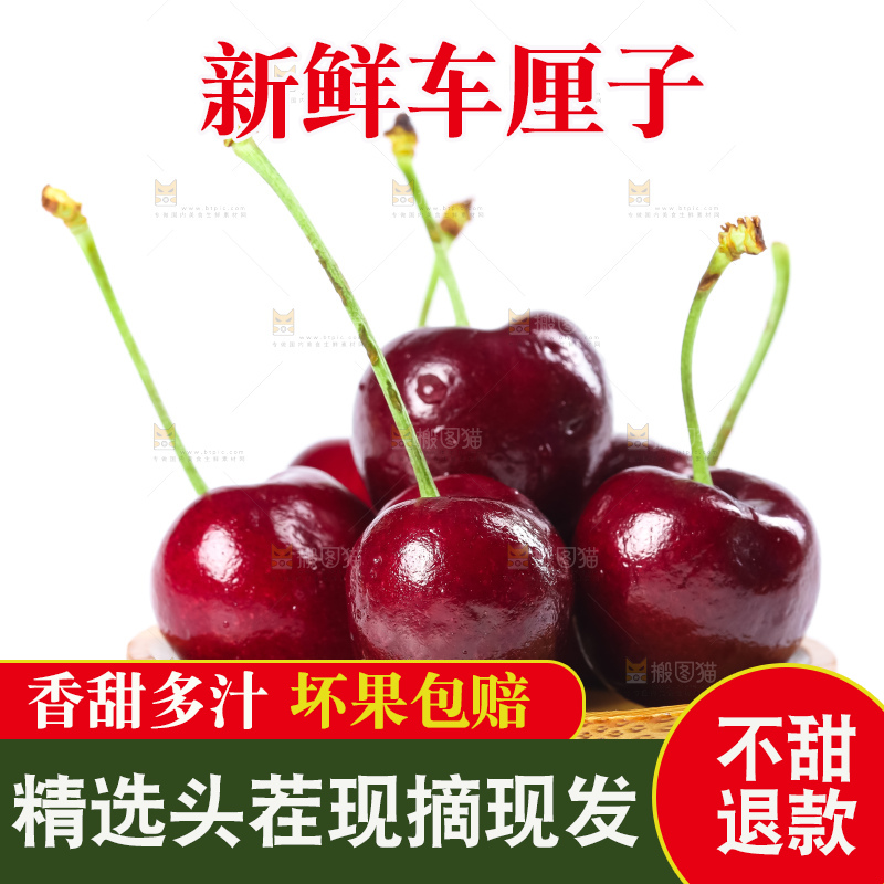 白底上的新鲜车厘子