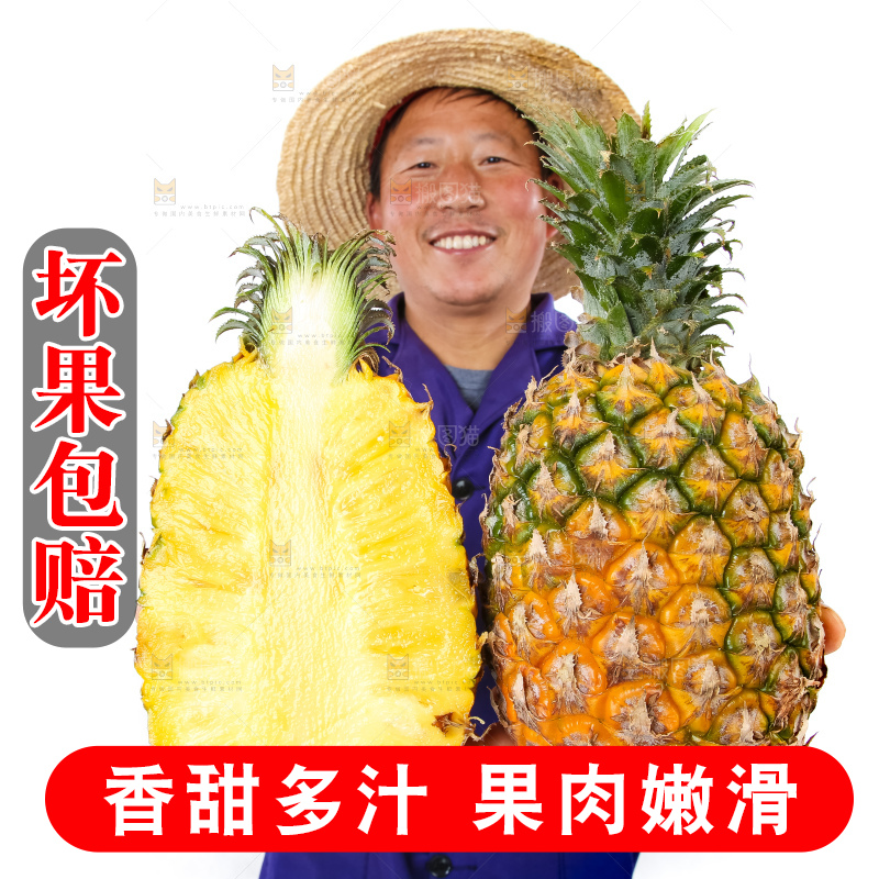 农民手里拿着香水菠萝