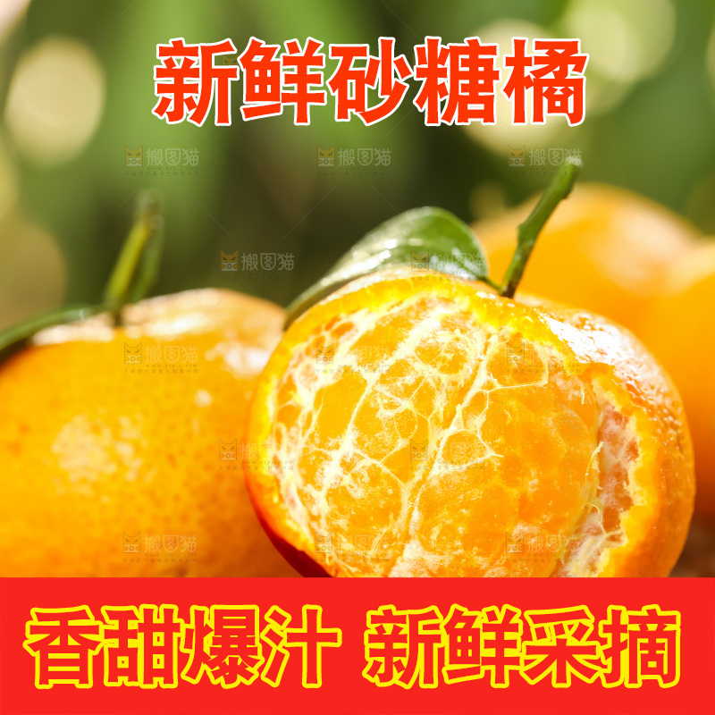 篮子里装着广西砂糖橘