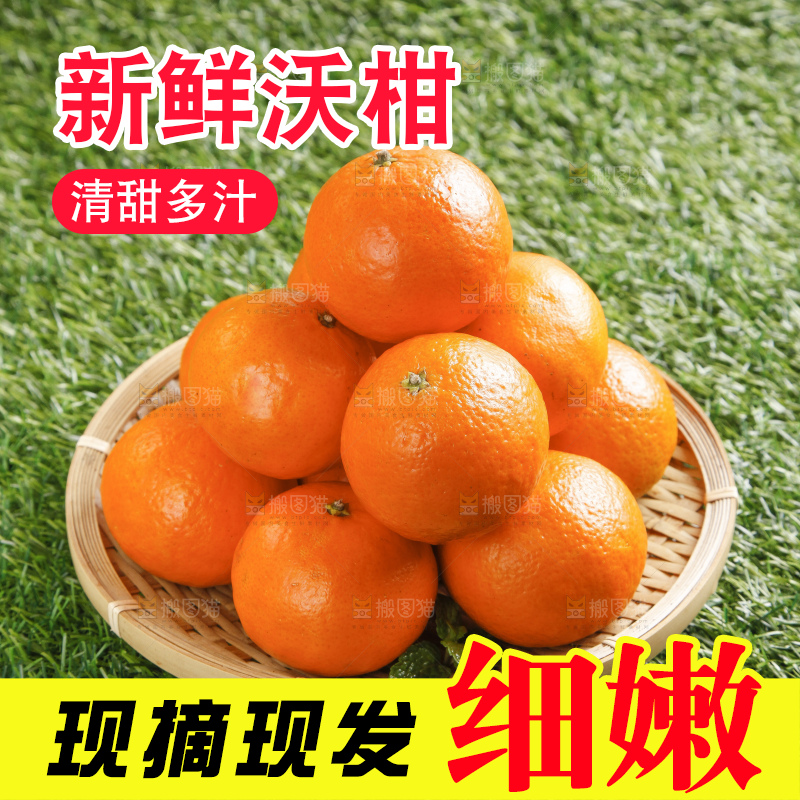 草地上放着贵妃柑