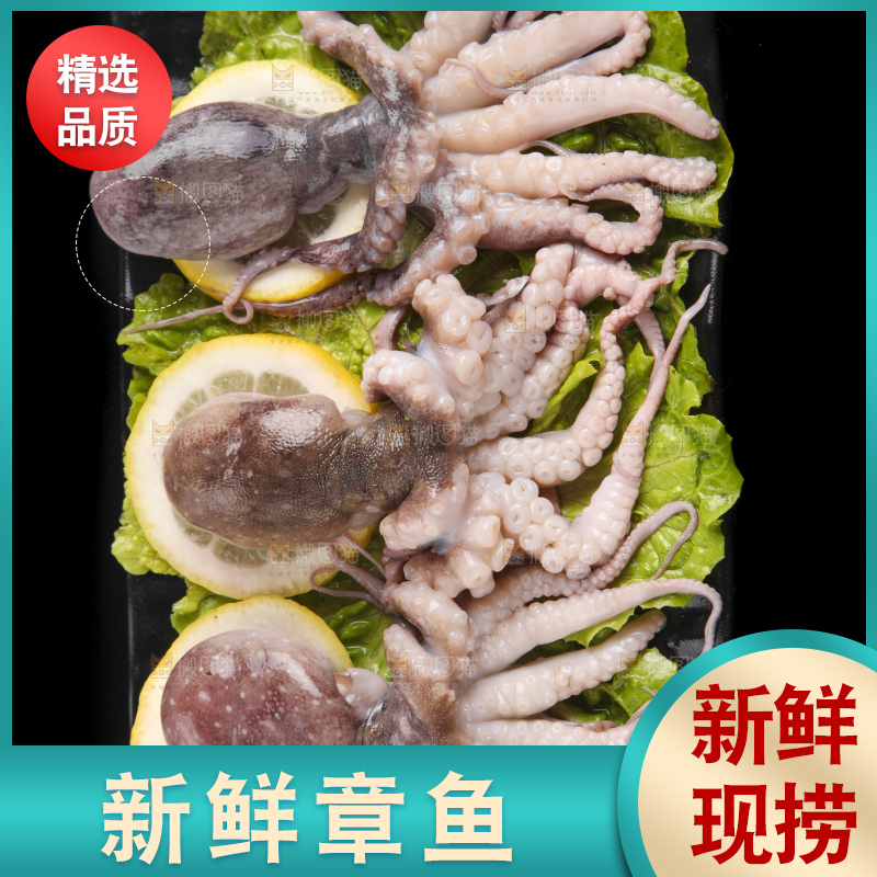 黑底上的八爪鱼