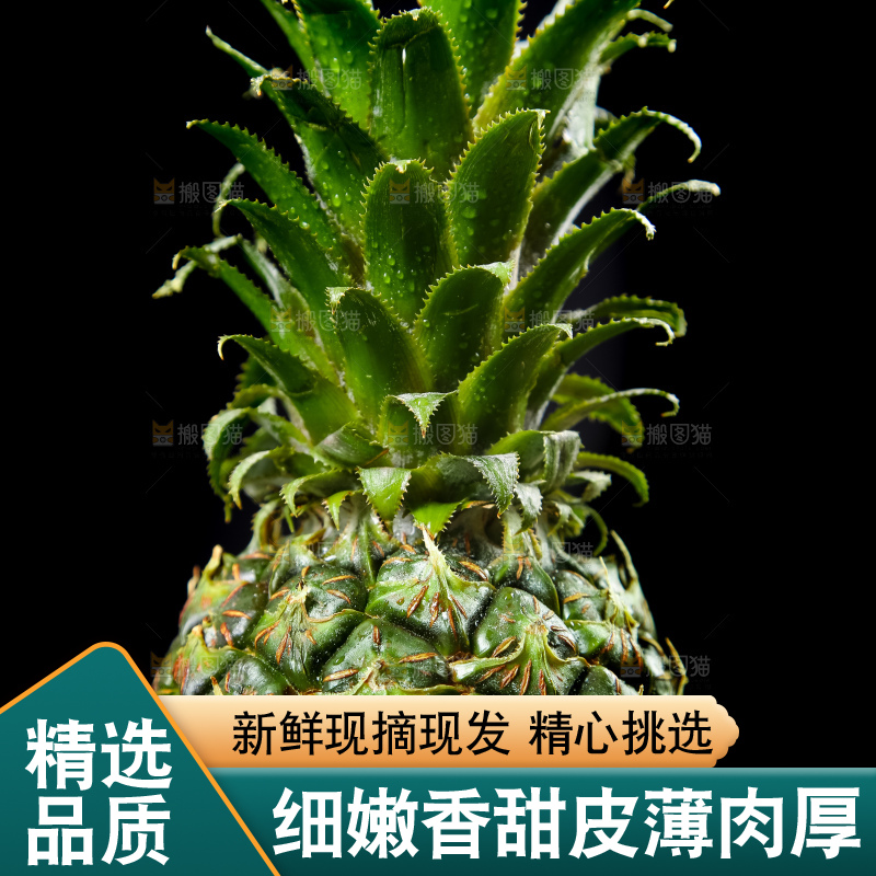 木底上的泰国小菠萝