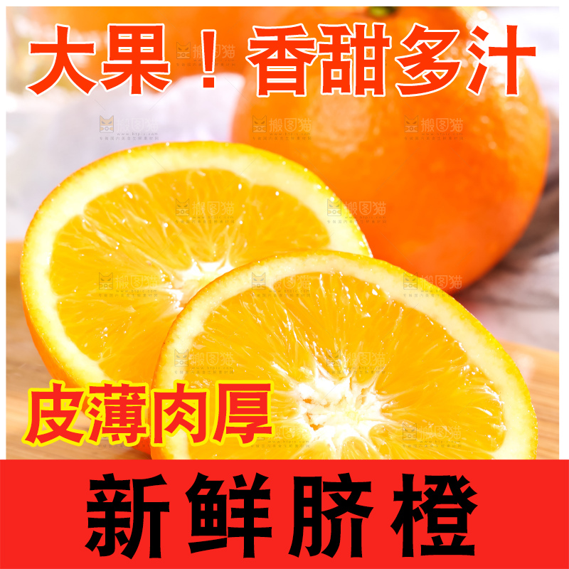 黄板子上的冰糖橙