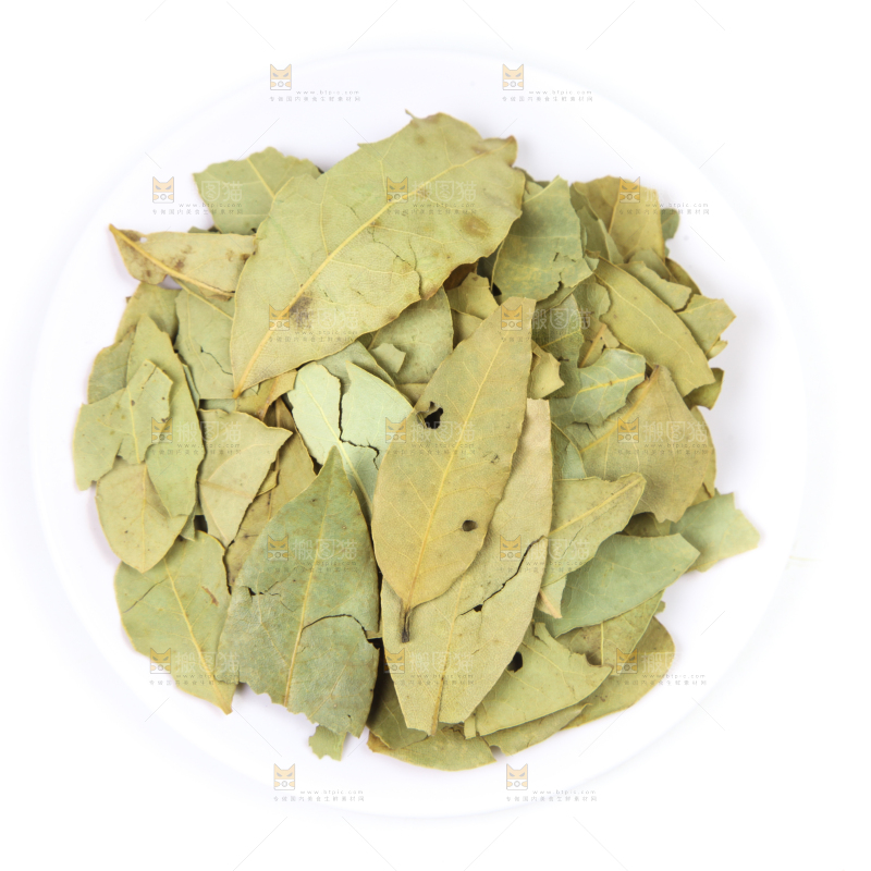 白底上的香桂叶