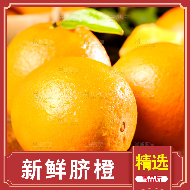 黄板子上的脐橙