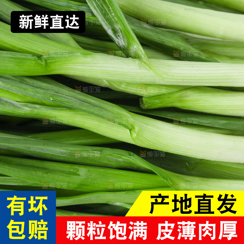 白底上放着蒜苗