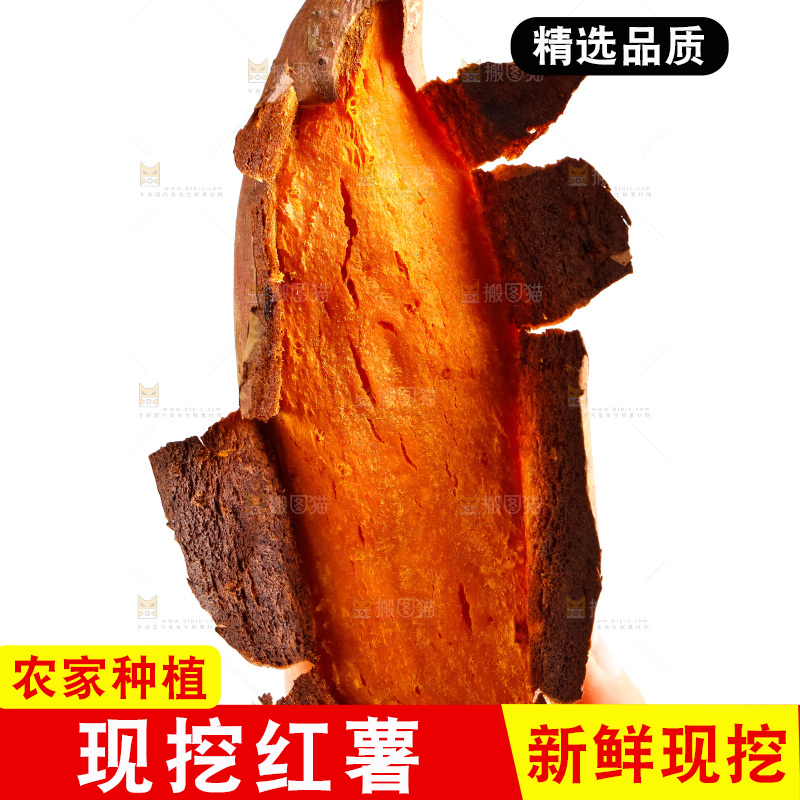 白底上的红薯